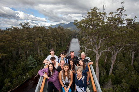 Tahune Airwalk Active Day Trip From Hobart Including Hastings Caves - Accommodation NSW 1
