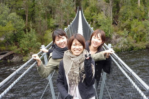 Tahune Airwalk Active Day Trip From Hobart Including Hastings Caves - Accommodation NSW 7