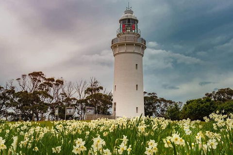Table Cape Lighthouse Tours - Accommodation NSW 7