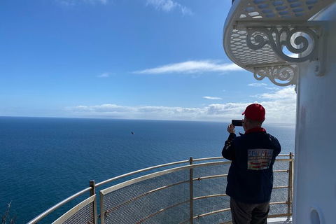 Table Cape Lighthouse Tours - Accommodation NSW 5