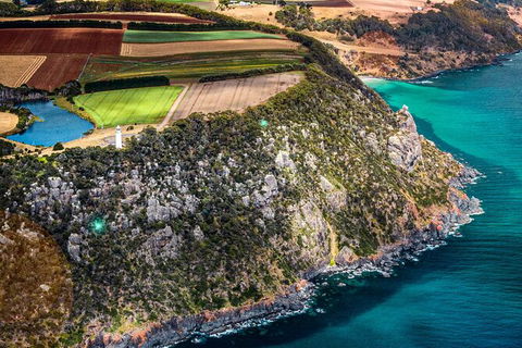 Table Cape Lighthouse Tours - Accommodation NSW 9