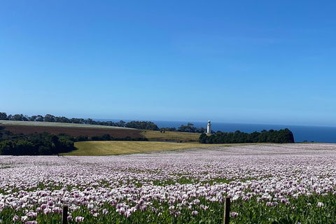 Table Cape Lighthouse Tours - Accommodation NSW 8