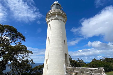 Table Cape Lighthouse Tours - Accommodation NSW 4