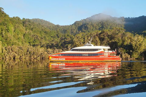 Afternoon Gordon River Dinner Cruise - Departing 3pm - Accommodation NSW 1