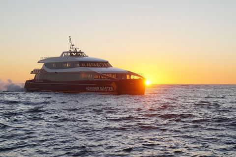 Afternoon Gordon River Dinner Cruise - Departing 3pm - Accommodation NSW 0