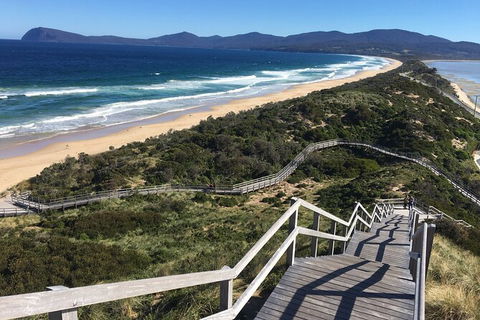 4-Day Fabulous Tasmania Tour: Wineglass Bay, Port Arthur, Devils & Bruny Island - Accommodation NSW 3
