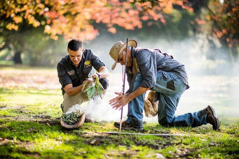 Aboriginal Heritage Walk - Royal Botanic Gardens Victoria, Melbourne Gardens - Accommodation NSW 0