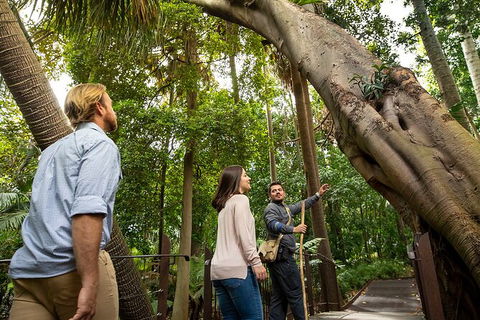 Aboriginal Heritage Walk - Royal Botanic Gardens Victoria, Melbourne Gardens - Accommodation NSW 1