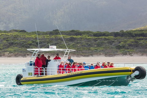 Wilsons Promontory Wilderness Cruise From Tidal River - Accommodation NSW 2