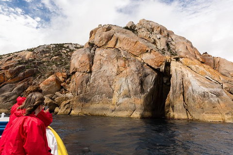 Wilsons Promontory Wilderness Cruise From Tidal River - Accommodation NSW 4