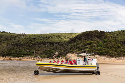 Wilsons Promontory Wilderness Cruise From Tidal River - Accommodation NSW 1