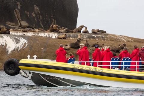 Wilsons Promontory Wilderness Cruise From Tidal River - Accommodation NSW 3