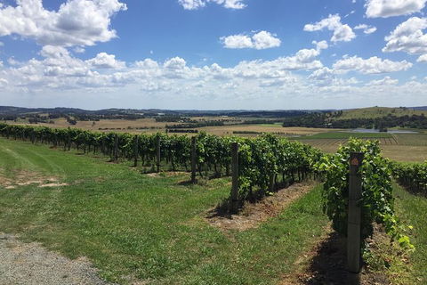 Yarra Valley Wine Tasting Tour - Accommodation NSW 1