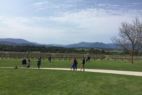 Yarra Valley Wine Tasting Tour - Accommodation NSW 2