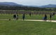 Yarra Valley Wine Tasting Tour - thumb 0