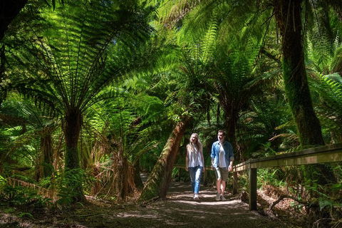 The Great Ocean Road 1 Day Private Sunset Tour - Accommodation NSW 1