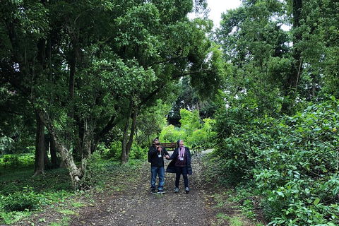 Alices Journeys Guided Walking Tours Of Daylesford - Accommodation NSW 5