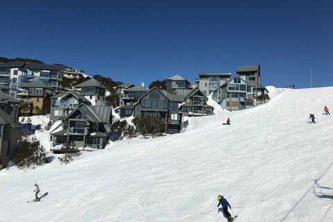 Alpine Ultimate Snow Trip - Accommodation NSW 1