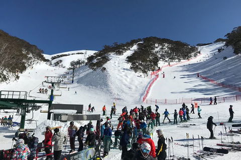 Alpine Ultimate Snow Trip - Accommodation NSW 4