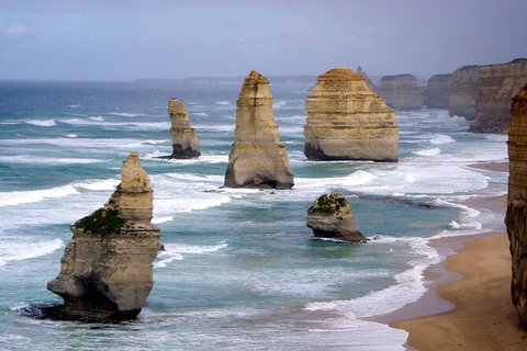 LGBT+ Friendly 2 Day Private Tour Great Ocean Road + Phillip Island - Accommodation NSW 0
