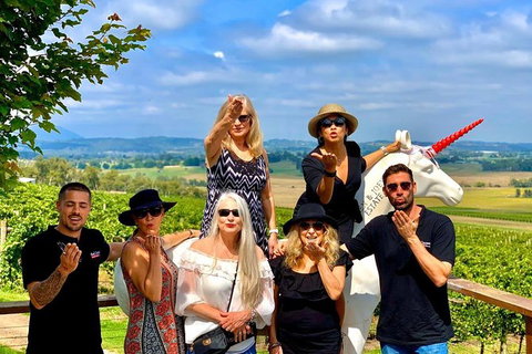 Yarra Valley Private & Bespoke Wine Tasting Tour - Accommodation NSW 7