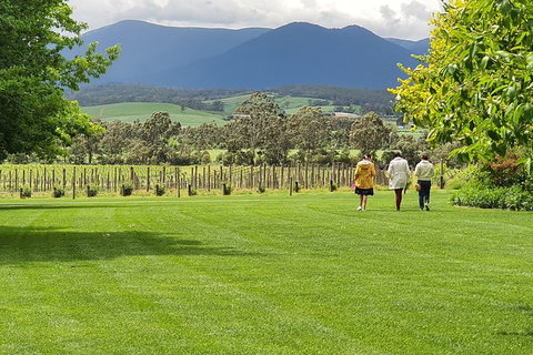 Yarra Valley Wine Tasting Day Tour From Melbourne - Accommodation NSW 6