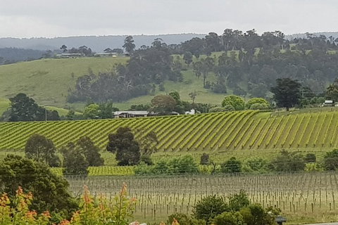 Yarra Valley Wine Tasting Day Tour From Melbourne - Accommodation NSW 0