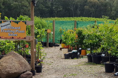 Yarra Valley Wineries And Rayners Orchard Tour From Melbourne - Accommodation NSW 0