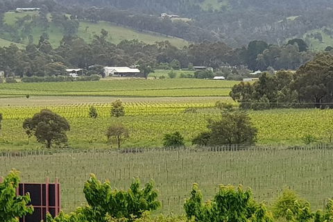Yarra Valley Wineries And Rayners Orchard Tour From Melbourne - Accommodation NSW 2
