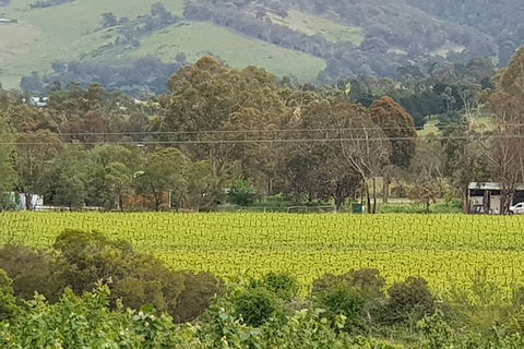 Day Tour Of Yarra Valley Puffing Billy And Rayners Orchard - Accommodation NSW 44