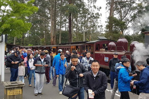 Day Tour Of Yarra Valley Puffing Billy And Rayners Orchard - Accommodation NSW 3