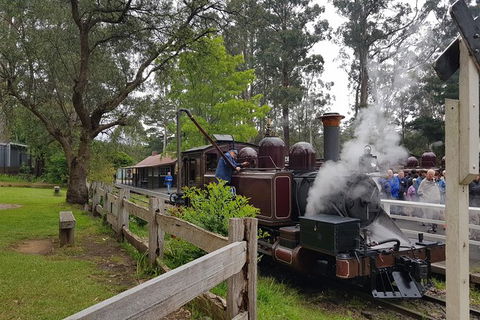 Day Tour Of Yarra Valley Puffing Billy And Rayners Orchard - Accommodation NSW 14