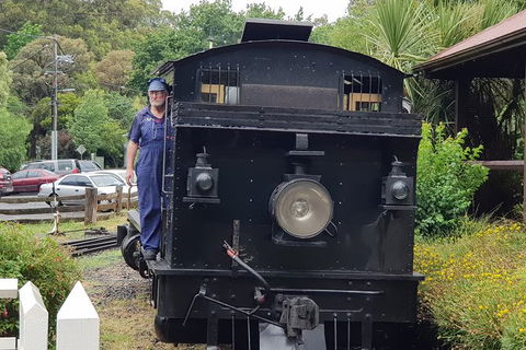 Day Tour Of Yarra Valley Puffing Billy And Rayners Orchard - Accommodation NSW 11