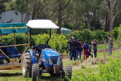 Day Tour Of Yarra Valley Puffing Billy And Rayners Orchard - Accommodation NSW 10