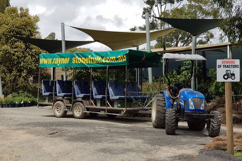 Day Tour Of Yarra Valley Puffing Billy And Rayners Orchard - Accommodation NSW 17