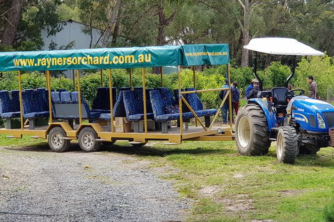 Day Tour Of Yarra Valley Puffing Billy And Rayners Orchard - Accommodation NSW 48