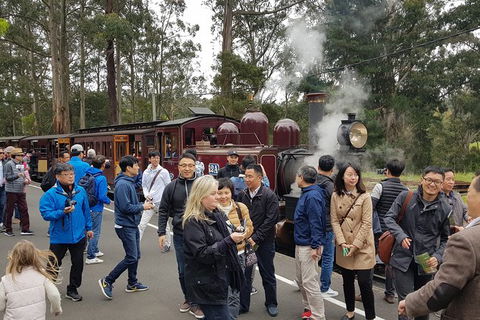 Day Tour Of Yarra Valley Puffing Billy And Rayners Orchard - Accommodation NSW 18