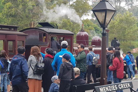 Day Tour Of Yarra Valley Puffing Billy And Rayners Orchard - Accommodation NSW 40
