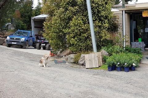 Day Tour Of Yarra Valley Puffing Billy And Rayners Orchard - Accommodation NSW 6