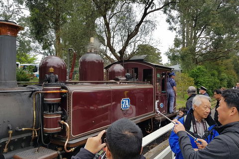 Day Tour Of Yarra Valley Puffing Billy And Rayners Orchard - Accommodation NSW 28