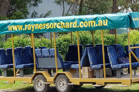 Day Tour Of Yarra Valley Puffing Billy And Rayners Orchard - Accommodation NSW 33