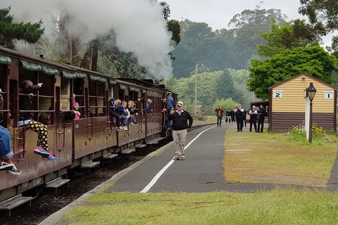 Day Tour Of Yarra Valley Puffing Billy And Rayners Orchard - Accommodation NSW 0
