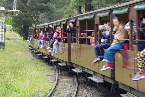 Day Tour Of Yarra Valley Puffing Billy And Rayners Orchard - Accommodation NSW 13