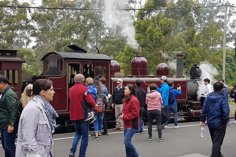 Day Tour Of Yarra Valley Puffing Billy And Rayners Orchard - Accommodation NSW 4
