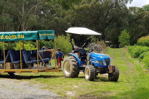 Day Tour Of Yarra Valley Puffing Billy And Rayners Orchard - Accommodation NSW 25
