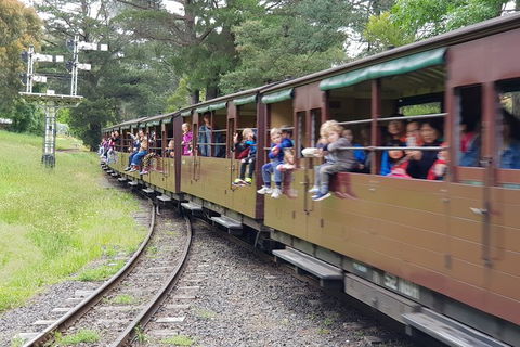 Day Tour Of Yarra Valley Puffing Billy And Rayners Orchard - Accommodation NSW 24
