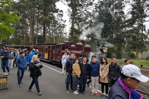 Day Tour Of Yarra Valley Puffing Billy And Rayners Orchard - Accommodation NSW 9