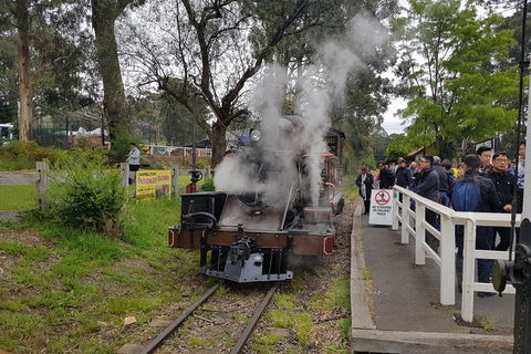 Day Tour Of Yarra Valley Puffing Billy And Rayners Orchard - Accommodation NSW 43