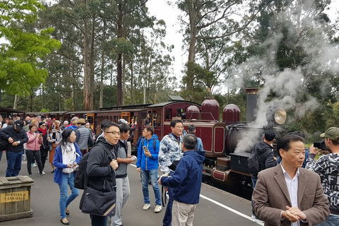 Day Tour Of Yarra Valley Puffing Billy And Rayners Orchard - Accommodation NSW 12