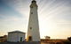 Rottnest Island Settlement Explorer Segway Package From Perth - thumb 6